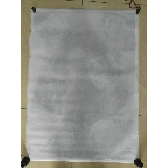 南科罗拉多大学 Diploma in Environmental Science